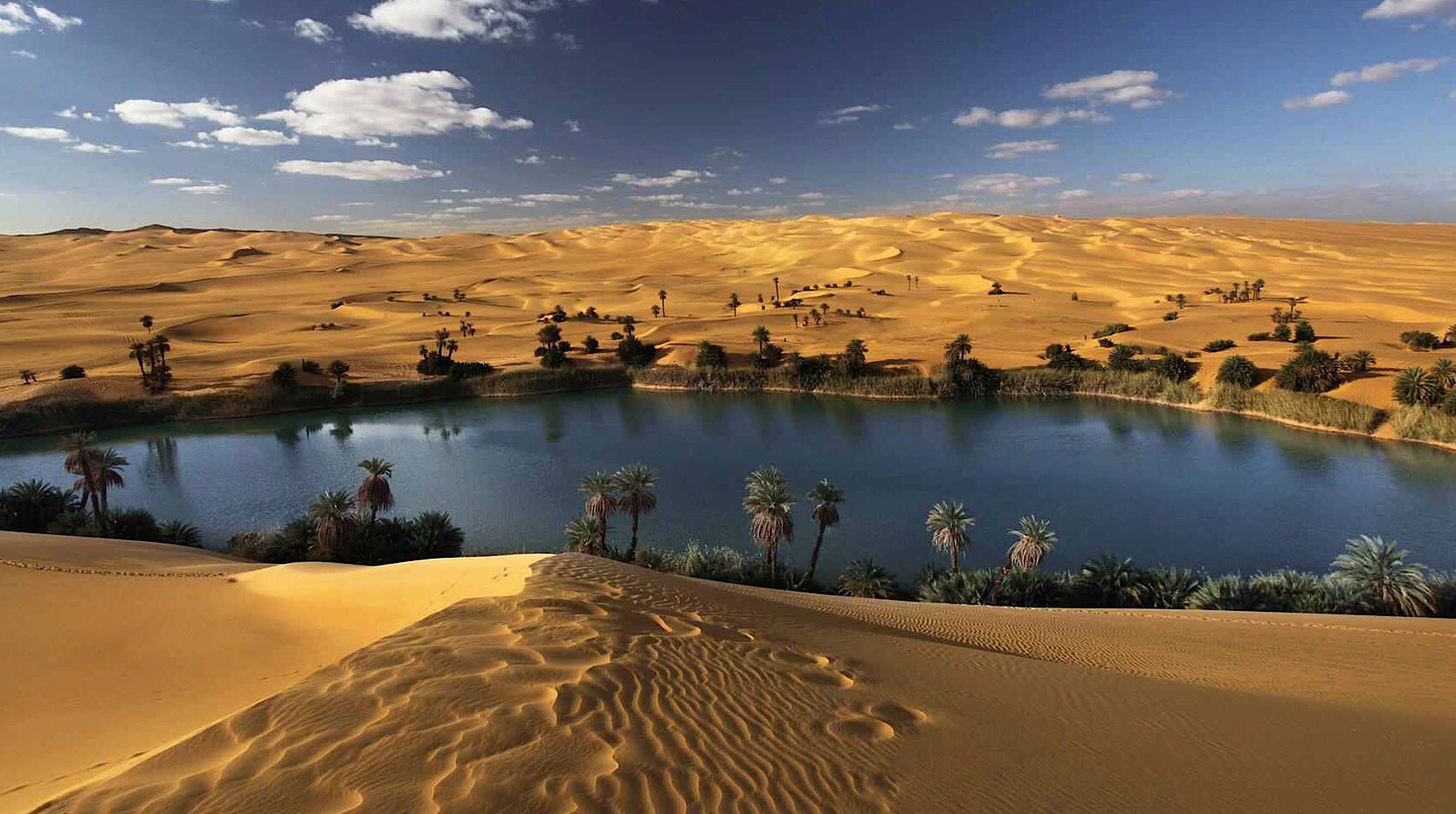 Siwa Oasis & White Desert Odyssey - Salt Pools & Date Palms